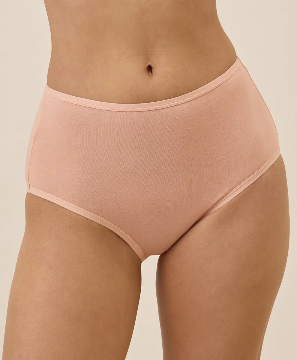clearance everyday high rise brief